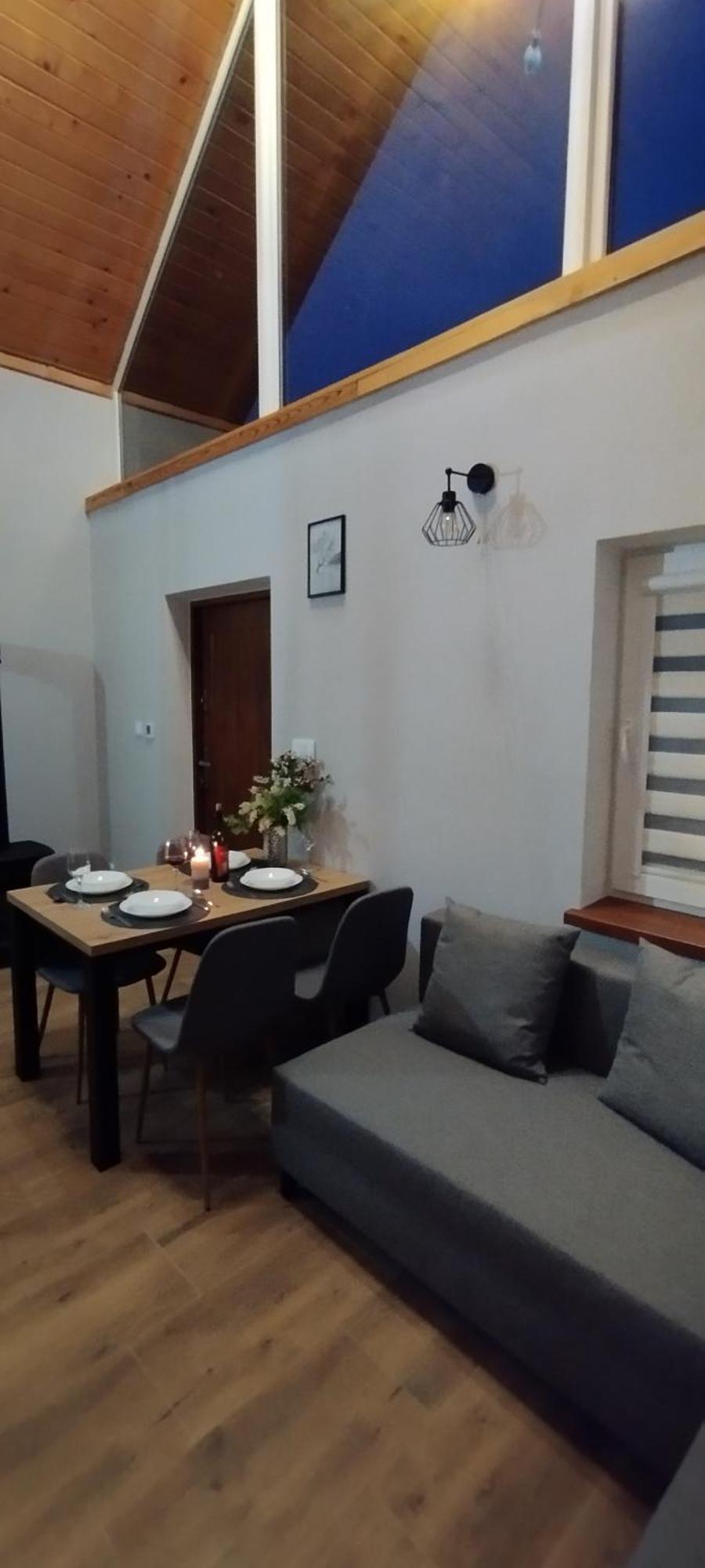 Bieszczadzkie Pola Apartment Wankowa